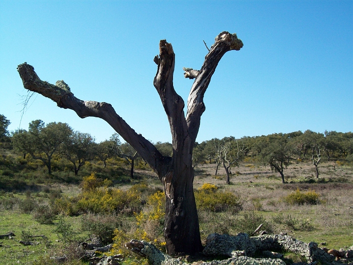 2009_portugal 234